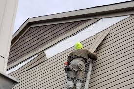 Best Fascia and Soffit Installation  in Elk Point, SD